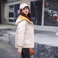 Áo phao nữ hàn quốc lông vũ chất đẹp cao cấp quảng châu màu đen kem vàng AP2