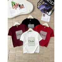 Áo phông cao cấp đính đá