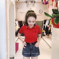 Áo phông cổ đức thêu hình con ong