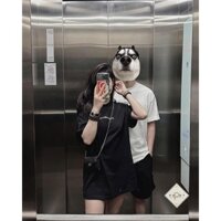 Áo Phông D&G Thun Ngắn Tay Trơn Basic Dáng Rộng Giấu Quần Trùm Mông QCCC Freesize