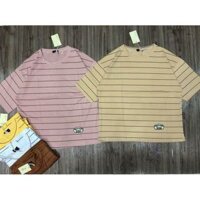 Áo Phông kẻ sọc ngang