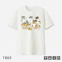 Áo Phông Mèo Péo T860 - T869 - T865,M
