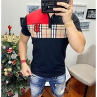 áo phông nam có cổ