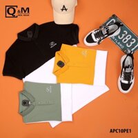 Áo phông nam 🍎FREE SHIP 🍎APC WELLDONE APC10PE1