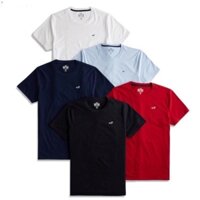 Áo phông nam HOLLISTER 100% cotton cổ tròn lego thêu VNXK