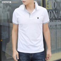 Áo phông nam playboy