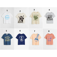 Áo phông ngựa vằn tê giác xám anchor cam HM H&M_hàng chính hãng authentic