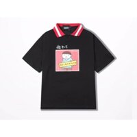 Áo phông nữ có cổ, áo polo ulzzang ( hàng có sẵn)