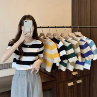 Áo Phông Nữ Croptop Len Cao Cấp Áo Len 4 Mùa Trẻ trung Dễ Phối Đồ Dáng Sang Chảnh Tiểu Thư Nhiều Màu LIZ-A339.1