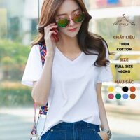 Áo phông nữ EVELY trơn cổ tim ngắn tay dáng suông cotton basic đẹp trắng cao cấp, áo thun nữ cổ V cộc tay đen EVELY205