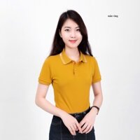 ÁO PHÔNG NỮ POLO YD VIỀN CỔ - CHIPXINHXK