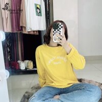 Áo phông oversize nữ dài tay form rộng, áo thun nữ hàng Quảng Châu L1 Mã AP175 *