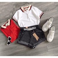 Áo phông POLO cổ đức