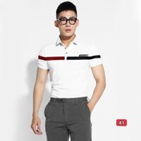 Áo phông polo nam đẹp giá rẻ áo thun nam có cổ tay ngắn chất vải cotton cao cấp thời trang STYLELOVER288 PL41