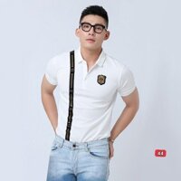 Áo phông polo nam đẹp giá rẻ áo thun nam có cổ tay ngắn chất vải cotton cao cấp thời trang STYLELOVER288 PL44