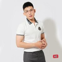 Áo phông polo nam đẹp giá rẻ áo thun nam có cổ tay ngắn chất vải cotton cao cấp thời trang STYLELOVER288 PL42