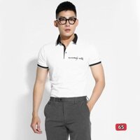 Áo phông polo nam đẹp giá rẻ áo thun nam có cổ tay ngắn chất vải cotton cao cấp thời trang STYLELOVER288 PL65