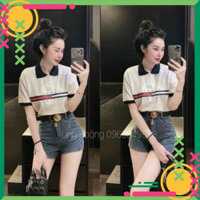 Áo phông Polo Nữ cổ bẻ hot 2022 Siêu Đẹp DMT-1