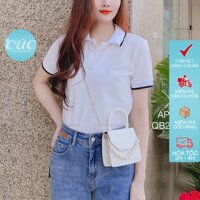 Áo phông polo nữ CÚC FASHION tay ngắn vải thun cotton thời trang công sở đẹp đen trắng đi học cá sấu viền cổ tay AP130