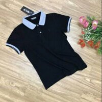 Áo phông polo nữ