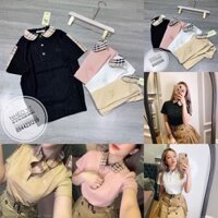 Áo Phông POLO nữ