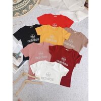 Áo phông quảng châu cao cấp