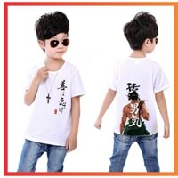 Áo phông trẻ em in hình truyện tranh anime vua hải tặc one piece cực chất cho bé trai