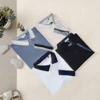 Áo Polo Áo Phông Nam Cổ Bẻ CENCI PC003 Thun Big Size Cộc Tay Vải Cá Sấu Cotton Phong Cách Trẻ Trung Chuẩn Form Nhiều Màu