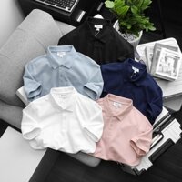 Áo Polo basic Nam sỉ & lẻ