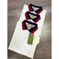 áo polo basic