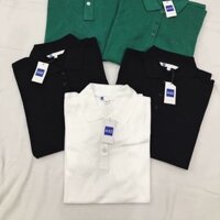 Áo polo basic