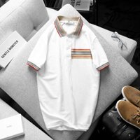 Áo polo bẻ cổ vải cá sấu poly túi sọc phối bo cùng tone