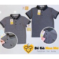 Áo polo cá sấu cổ bẻ đen