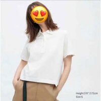Áo polo cá sấu croptop U..ni