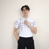 ÁO POLO CÁ SẤU NAM NỮ SỌC CARO