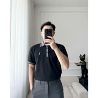 ÁO POLO CỔ VIỀN CÚC NGỰC NAM 4 MÀU