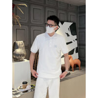 Áo polo D&G bản likeauth 1:1