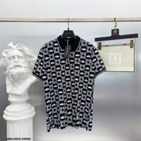 Áo PoLo D&G