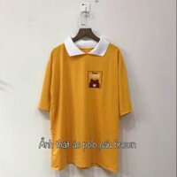 Áo polo gấu cực xinh  from rộng giấu quần