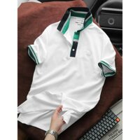 Áo polo LC chất cá sấu viền cổ sang trọng cotton pique trụ bo phối chất dày mền mịn- cao cấp