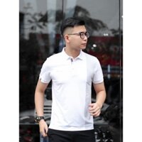 Áo polo Li-Ning APLR087 màu trắng, xanh navy, xanh ngọc . Lưng vải lỗ thoáng khí