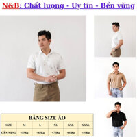 Áo Polo nam, áo thun nam có cổ chất liệu cotton cá sấu poly chất mát, nhẵn mịn, chống bám bụi, MS166