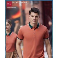 Áo Polo Nam Chính Hãng Áo Polo Cotton Áo Polo Nam Áo Polo Cổ Nam