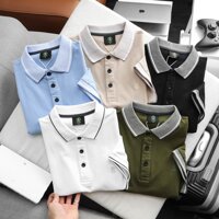 Áo Polo Nam Cổ Bẻ Dệt Lưới Vải Cotton Xuất Form Slim Fit ,  Bigsize ( 55kg - 100kg ) - 3bros kho xuat khau