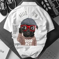 Áo polo nam , cổ dệt bo len ,áo thun nam có cổ tay ngắn thanh lịch PL06 - Soha Clothing - Hàng mới về