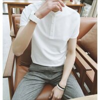 Áo polo nam cổ Henry phong cách Chanel, áo polo cotton nguyên chất, áo thun ngắn tay slim fit cao cấp, màu sắc đồng nhất, áo Henry đa năng