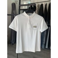 Áo polo nam cộc tay Cotton cao cấp