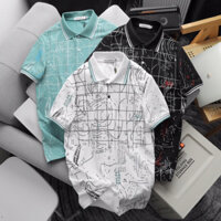 Áo polo nam Havis họa tiết trẻ trung cá tính cực đẹp big size 3XL ASTD222