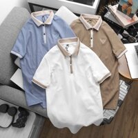 Áo Polo Nam Pack EAGLE có bigsize PL016 S4M Fashion