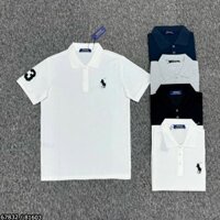 Áo Polo nam Ralph lauren cao cấp 4 màu họa tiết thêu logo ngựa cực hot 2024